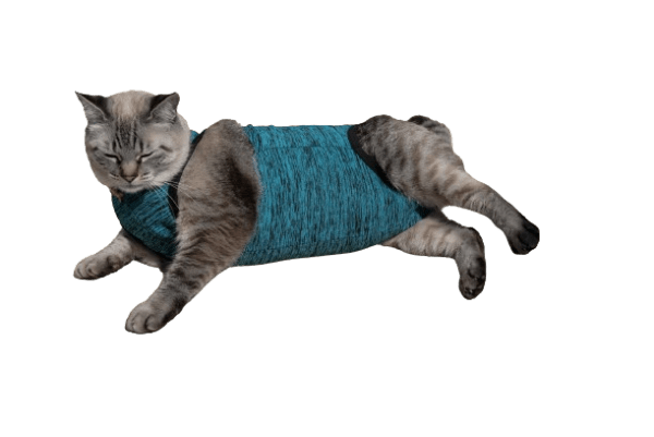 roupa cirúrgica para gato
