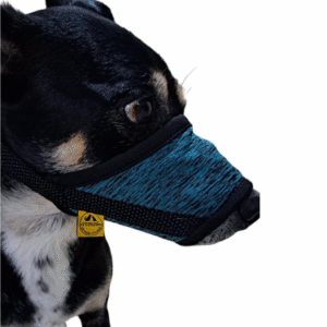 Cachorro usando Focinheira de tecido da Helpety