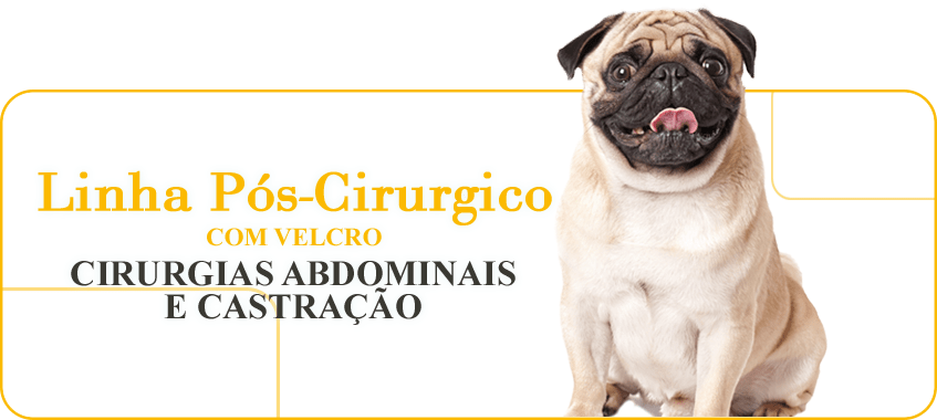 Linha-Pos-Cirurgico