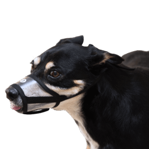 focinheira para cachorro