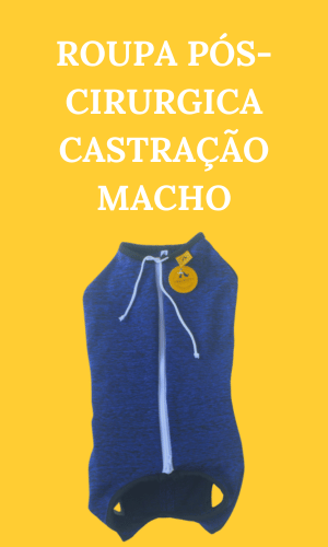 roupa de castraçao cachorro