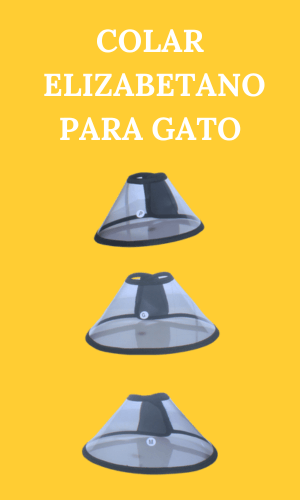 colar elizabetano para gato